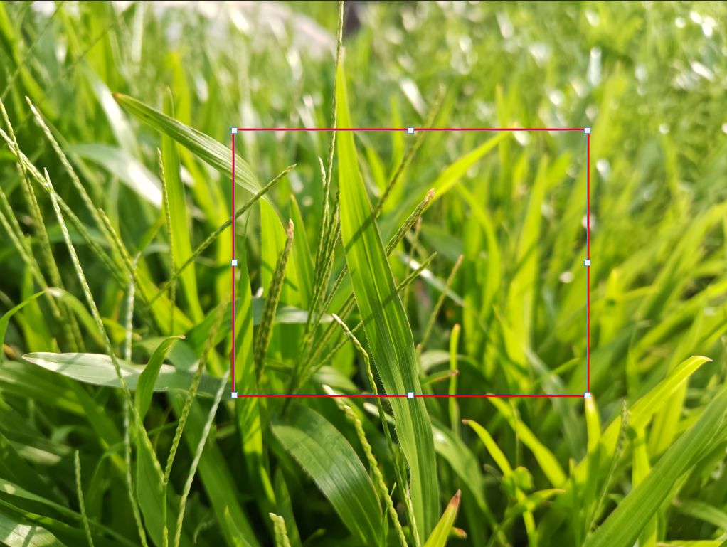 [3C 開箱] Sharp AQUOS R9 拍照評測，LEICA 認證雙鏡頭 5000 萬像素，AI 消除陰影更聰明