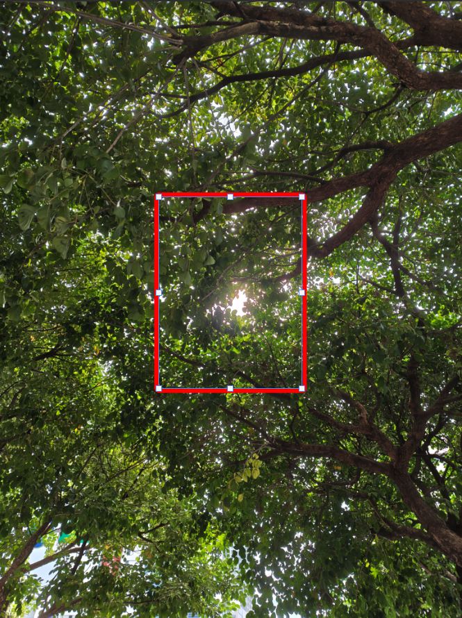 [3C 開箱] Sharp AQUOS R9 拍照評測，LEICA 認證雙鏡頭 5000 萬像素，AI 消除陰影更聰明