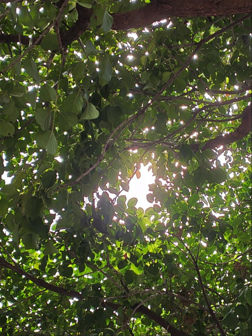 [3C 開箱] Sharp AQUOS R9 拍照評測，LEICA 認證雙鏡頭 5000 萬像素，AI 消除陰影更聰明