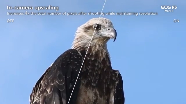 [聊攝影361] Canon EOS R52 15 項重點規格介紹