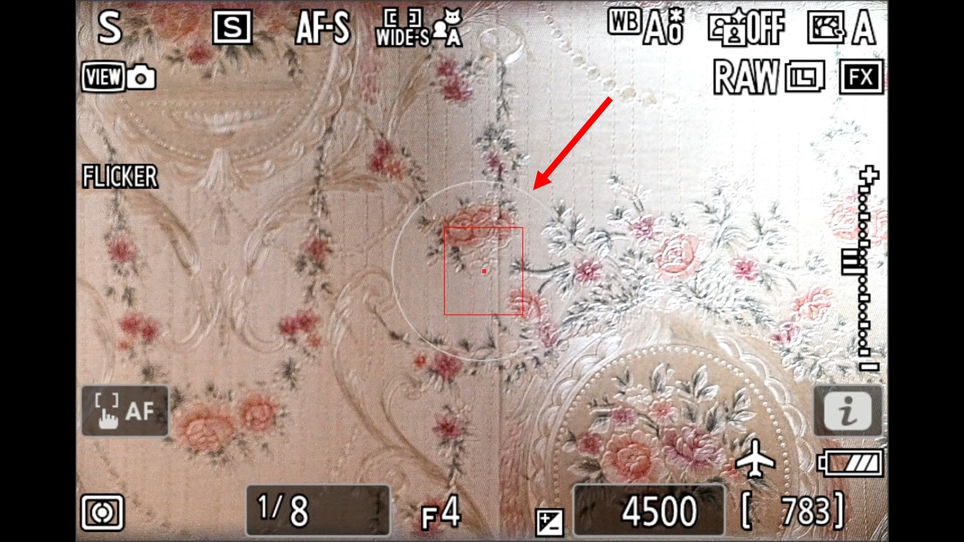 [聊攝影364] Nikon Z 相機通用教學 Vol19. 矩陣測光臉部偵測、偏重中央區域、微調最佳曝光