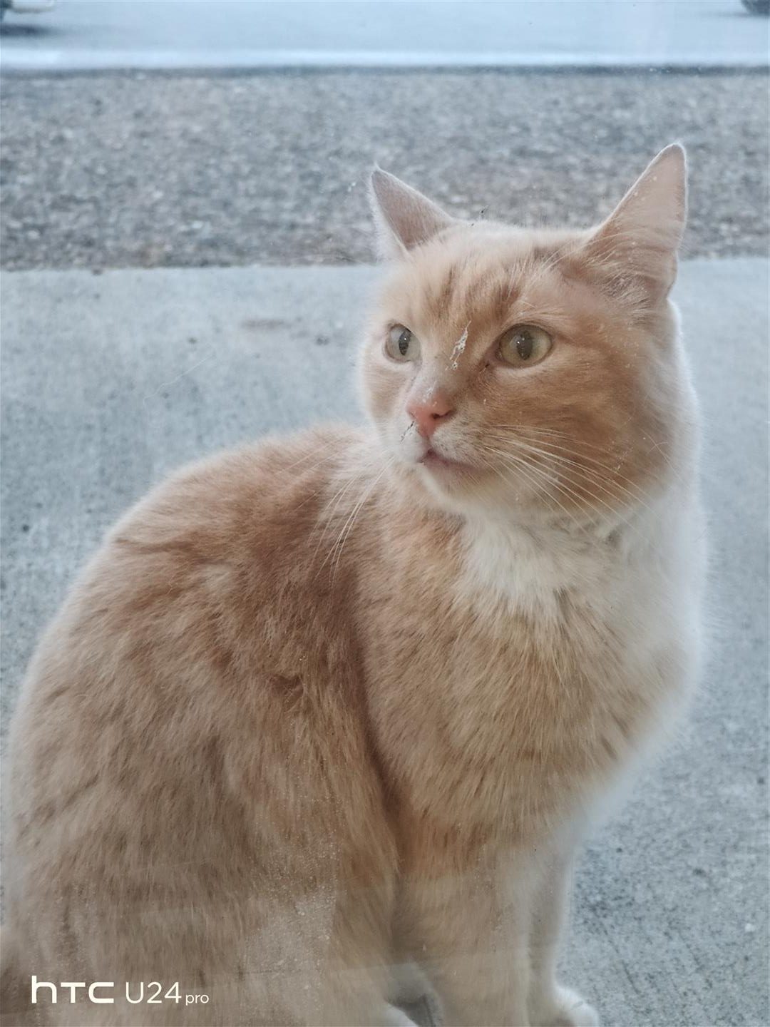 HTC U24 Pro 冰島旅行攝影 4 QA