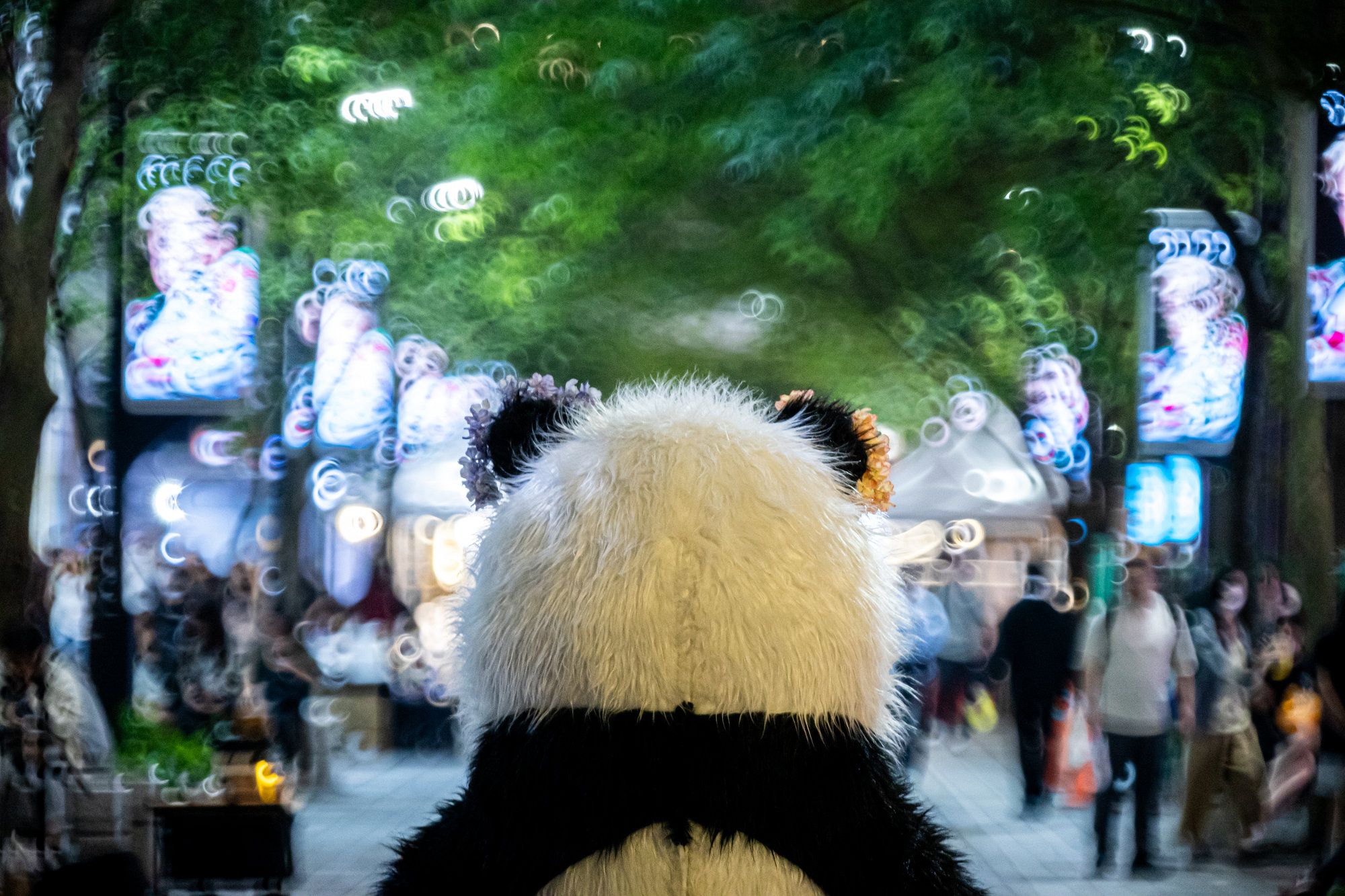 [玩攝影122] Kase 200mm F5.6 全片幅折返式鏡頭，甜甜圈散景超誘人