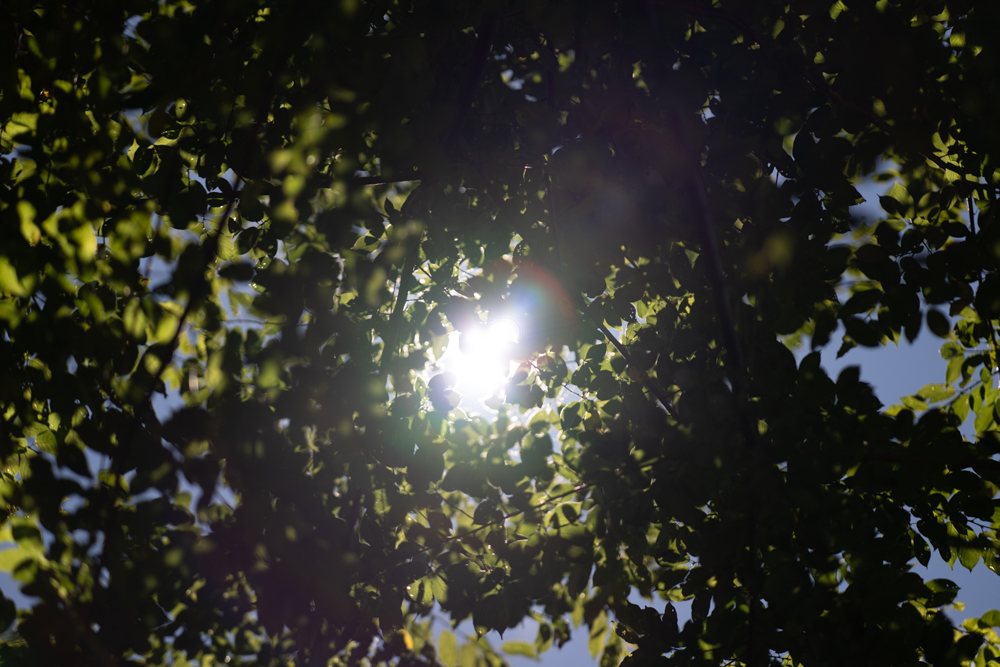 [比攝影136] Kase AF 85mm F1.4 大光圈自動對焦人像鏡