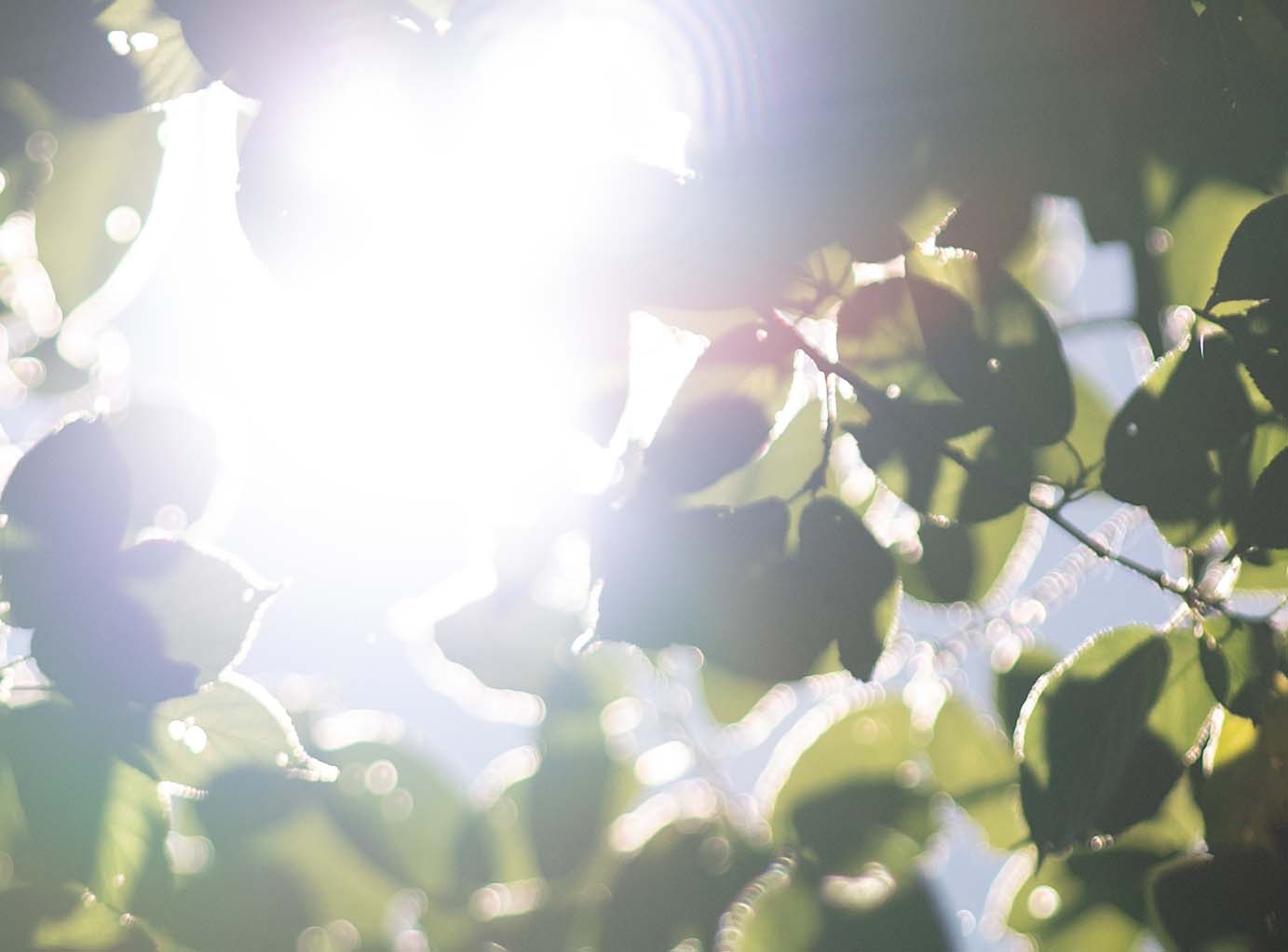 [比攝影136] Kase AF 85mm F1.4 大光圈自動對焦人像鏡