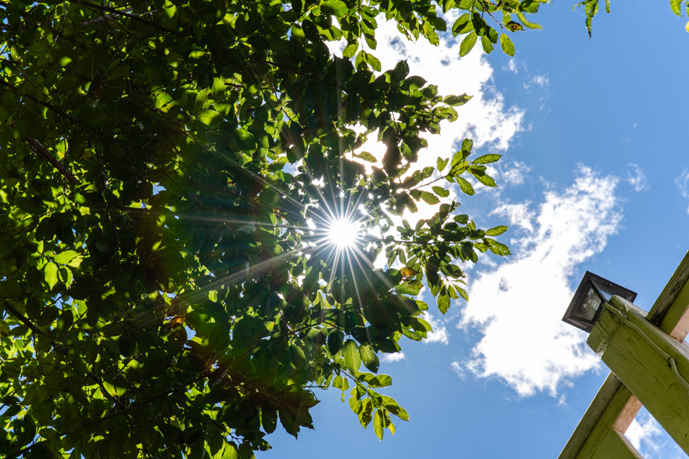 [比攝影136] Kase AF 85mm F1.4 大光圈自動對焦人像鏡