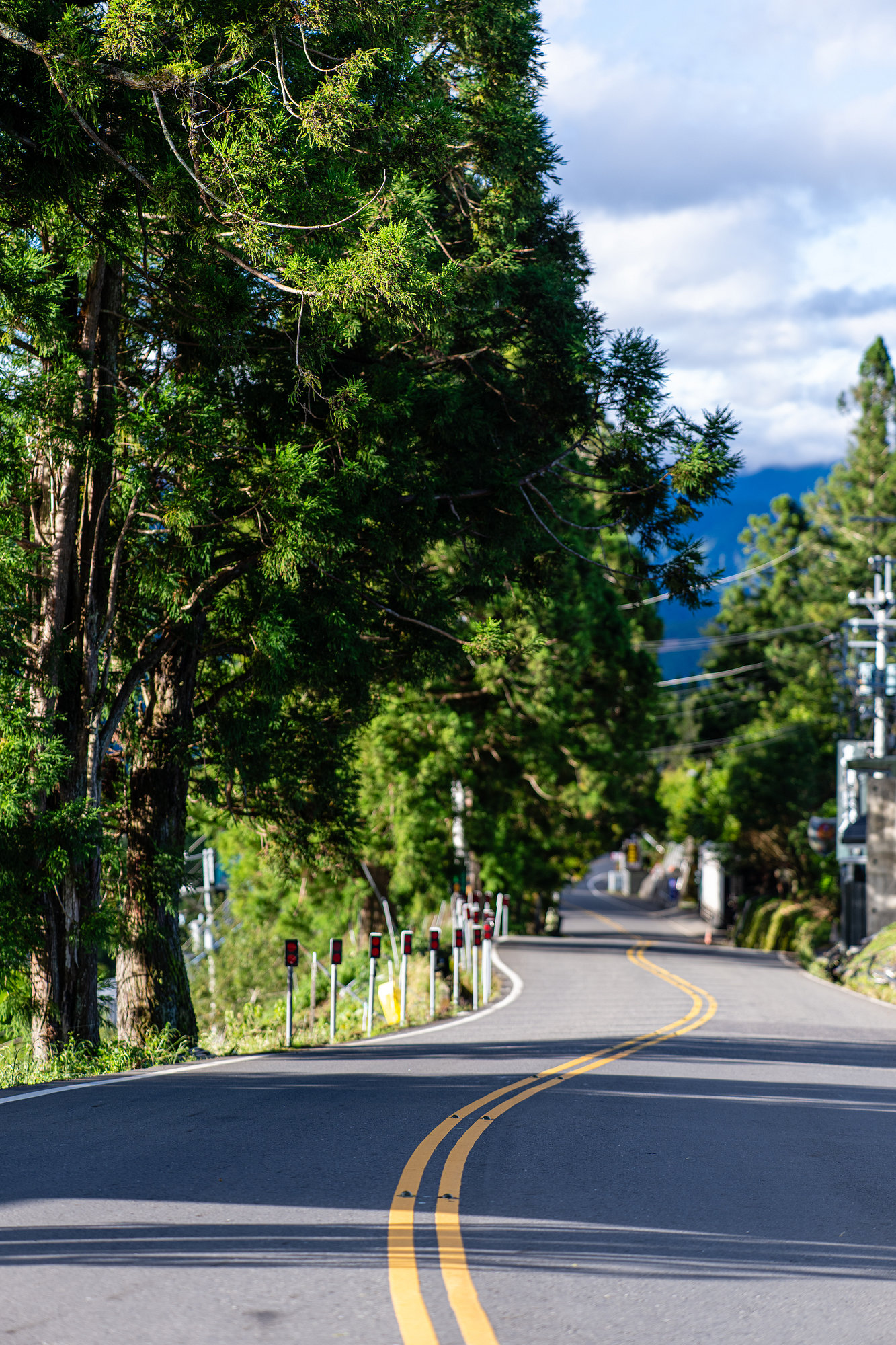 [比攝影136] Kase AF 85mm F1.4 大光圈自動對焦人像鏡